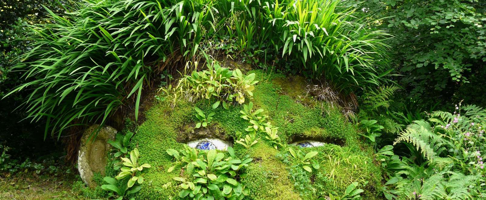 Lost Gardens of Heligan